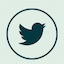 twitter-image