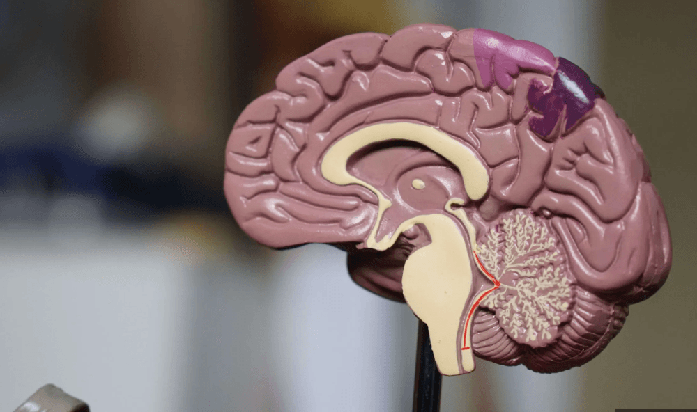 The Future of Mental Health Care in India: Trends and Innovations